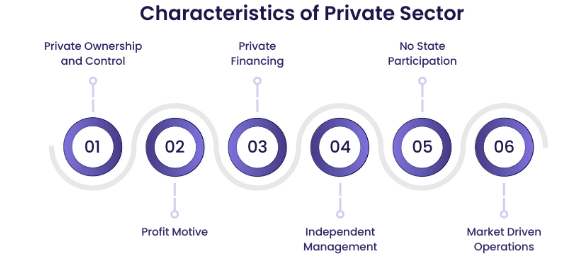 , Who’s Really in Control? How Organisational Type Shapes Decision-Making