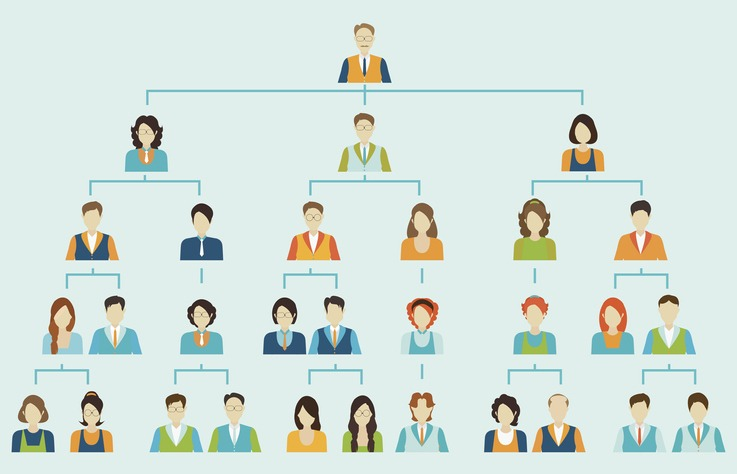 , Breaking Down Business: Common Organisational Structures Made Simple
