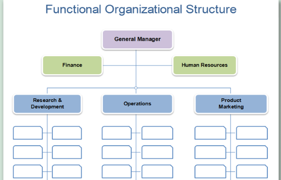 , Breaking Down Business: Common Organisational Structures Made Simple