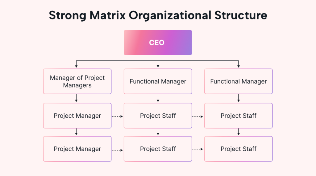 , Breaking Down Business: Common Organisational Structures Made Simple