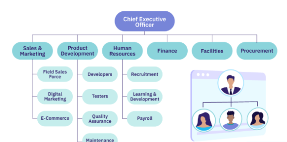 , Who Does What? Understanding Functional Areas in Organisations