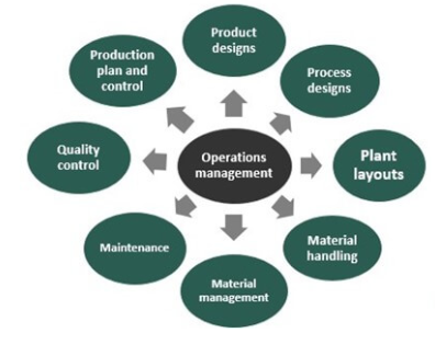 , Who Does What? Understanding Functional Areas in Organisations