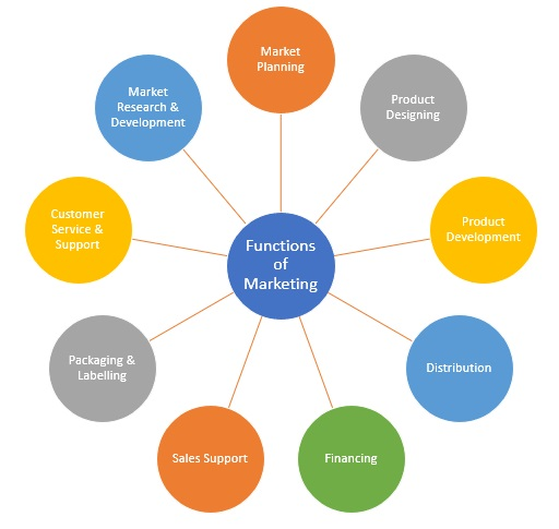 , Who Does What? Understanding Functional Areas in Organisations