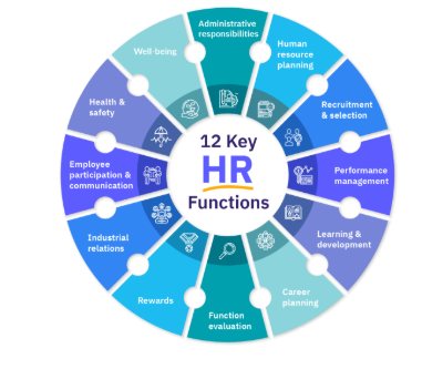 , Who Does What? Understanding Functional Areas in Organisations