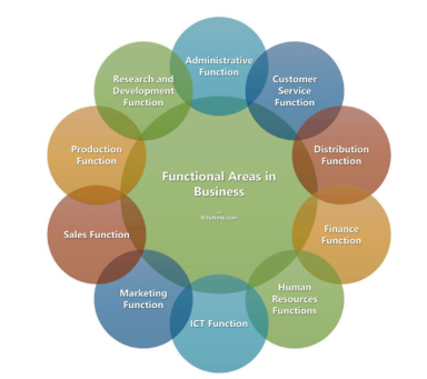 , Who Does What? Understanding Functional Areas in Organisations