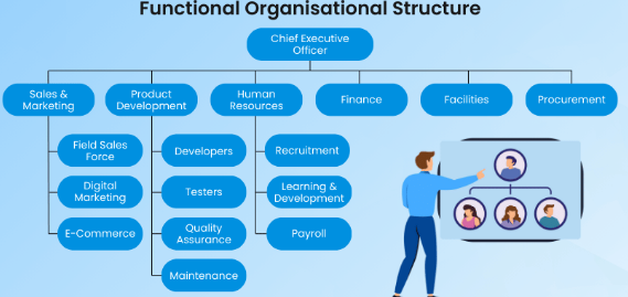 , Does Structure Matter? How It Affects Collaboration and Efficiency