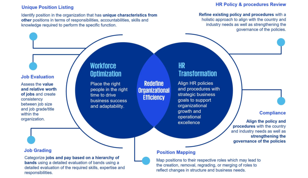 , The Strengths That Drive Organisations, and the Limits That Hold Them Back