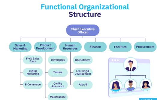 , The Strengths That Drive Organisations, and the Limits That Hold Them Back